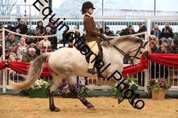 1_ERB-6461