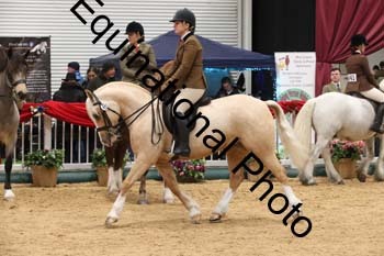 1_ERB-6481