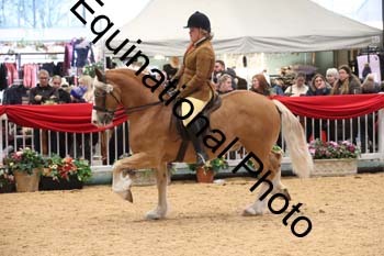 1_ERB-6491