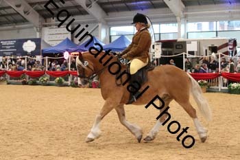 1_ERB-6493