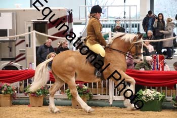 1_ERB-6495
