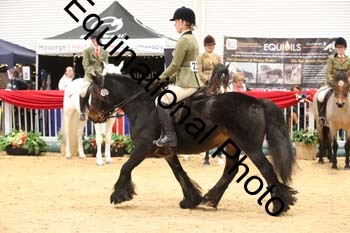 1_ERB-6498