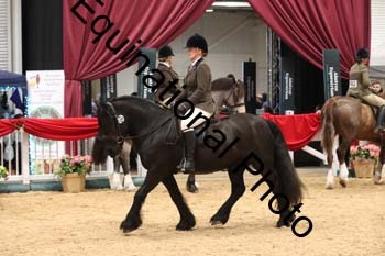 1_ERB-6503