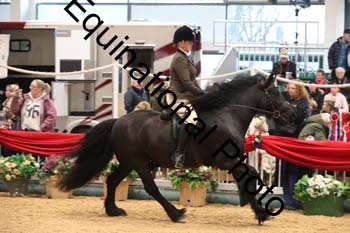 1_ERB-6508