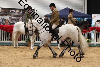 1_ERB-6517