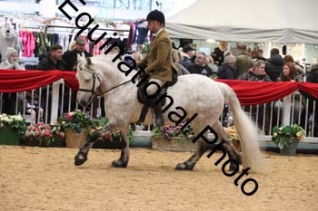 1_ERB-6519