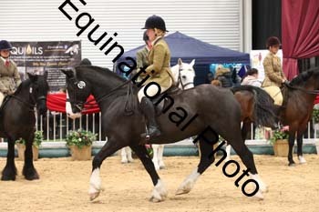 1_ERB-6526