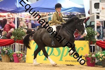 1_ERB-6529