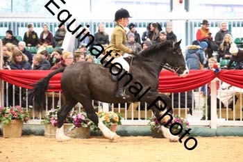 1_ERB-6531