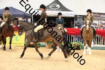 1_ERB-6534