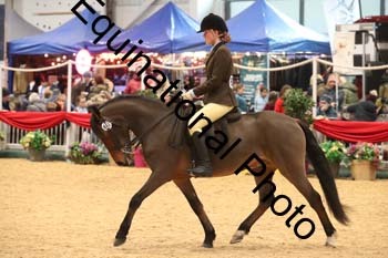 1_ERB-6537