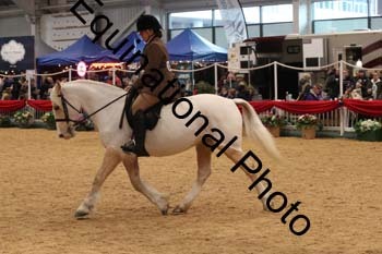 1_ERB-6543
