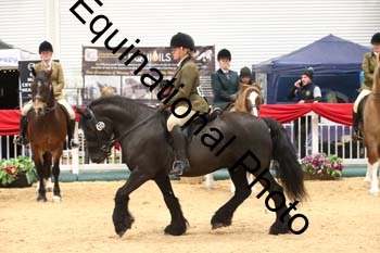 1_ERB-6547