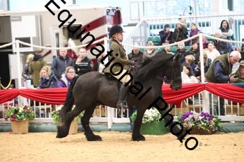 1_ERB-6551