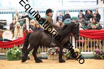1_ERB-6552
