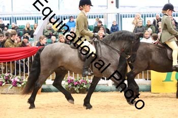 ERB-5207