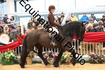 ERB-5299