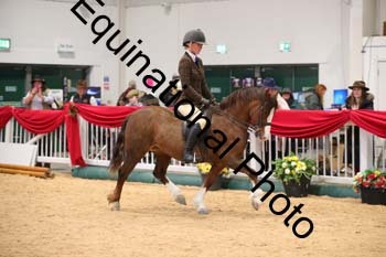 ERB-5490