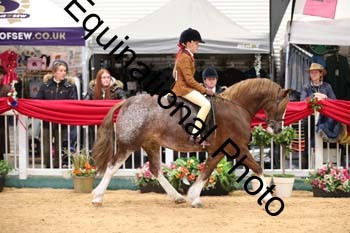 ERB-5508