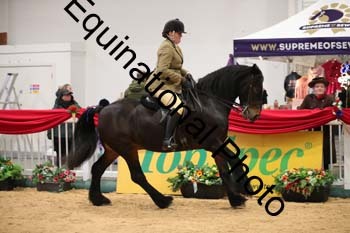 ERB-5528