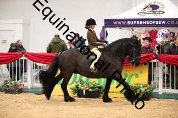 ERB-5543