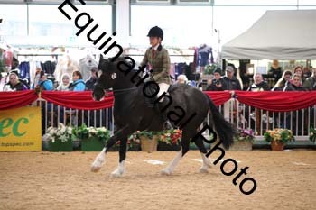ERB-5686