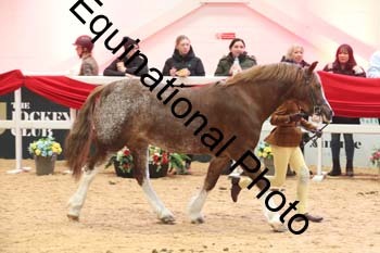 ERB-5832