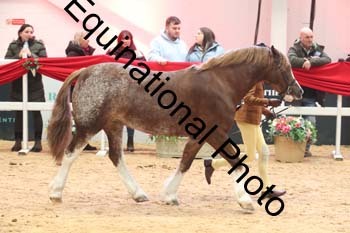 ERB-5833