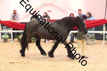 ERB-5848