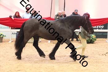 ERB-5849