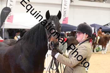 ERB-5851