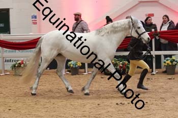 ERB-5865