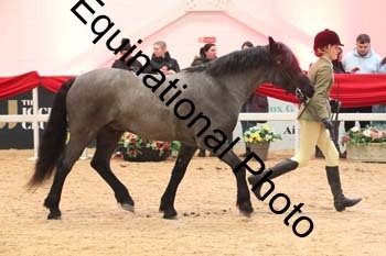 ERB-5880