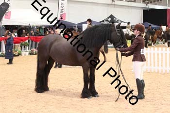 ERB-5888