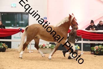 ERB-5925