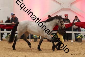 ERB-5944