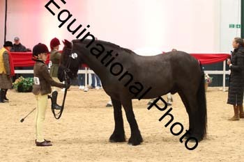 ERB-5956