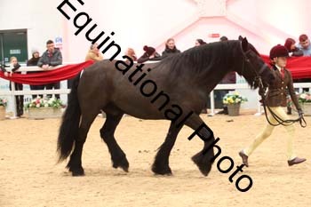 ERB-5969