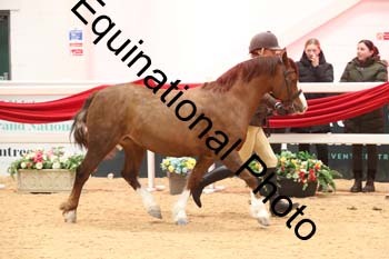 ERB-5972