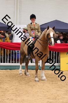 ERB-6058