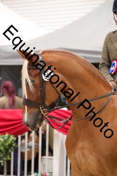 ERB-6081