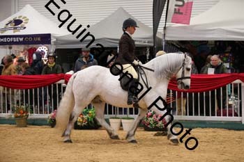 ERB-6146