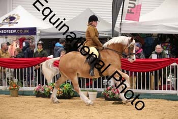 ERB-6154