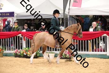 ERB-6179