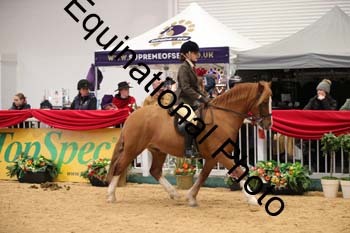 ERB-6199
