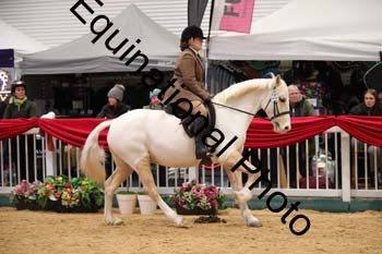 ERB-6205