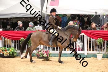 ERB-6208