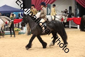 ERB-6437