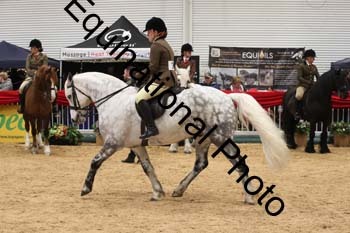ERB-6464
