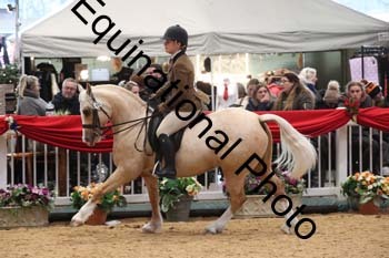 ERB-6484